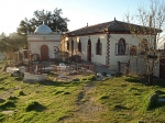 Djeddi-Menguellet.jpg